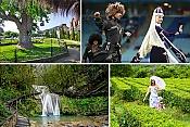Индивидуальная экскурсия: 33 водопада + Тюльпанное дерево + Чайная плантация + Кавказское шоу