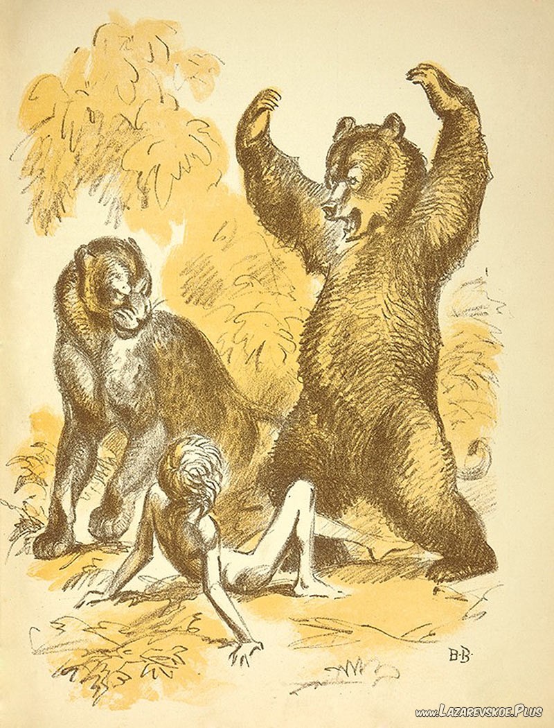 Рисунок Ватагина к сказке Киплинга Книга джунглей. Детгиз, 1935 год.