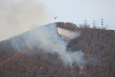 Тушение пожара на Лысой горе. Лазаревское, ноябрь, 2015
