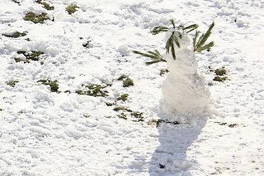 Еловый снеговик. Лазаревское, зима 2016