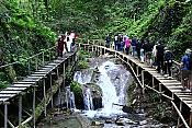 Экскурсия на 33 водопада + Чайная плантация 7