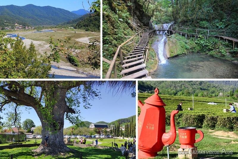 Индивидуальная экскурсия: 33 водопада + Тюльпанное дерево + Чайная плантация