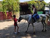 Часовая конная прогулка + Посещение фермы и общение с животными 11