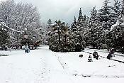 Городской парк. Лазаревское, зима, 2012 года
