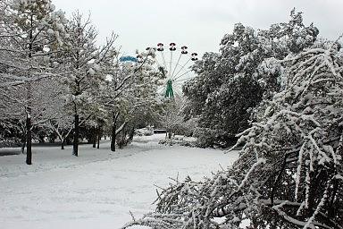 Городской парк. Лазаревское, зима, 2012 года