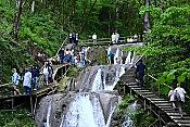 Экскурсия на 33 водопада + Чайная плантация 8