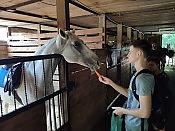 Часовая конная прогулка + Посещение фермы и общение с животными 13