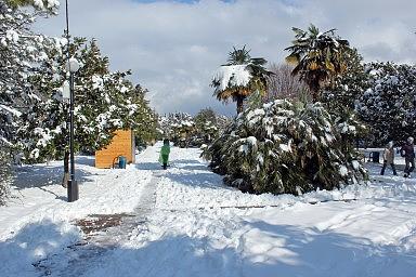 Городской парк. Лазаревское, зима 2012 год