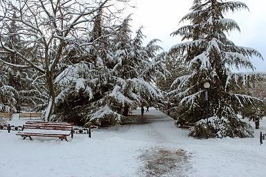 Сквер у кинотеатра "Восход". Лазаревское, зима 2012