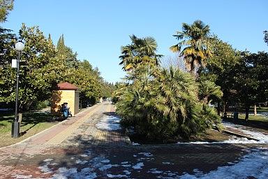 Городской парк. Лазаревское, зима 2012