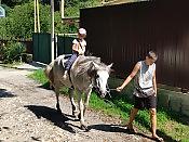 Часовая конная прогулка + Посещение фермы и общение с животными 9