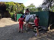 Часовая конная прогулка + Посещение фермы и общение с животными 10