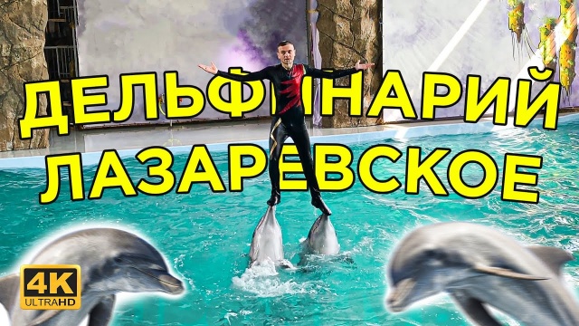 ДЕЛЬФИНАРИЙ ЛАЗАРЕВСКОЕ. ОТДЫХ НА МОРЕ ЛАЗАРЕВСКОЕ СОЧИ 2021