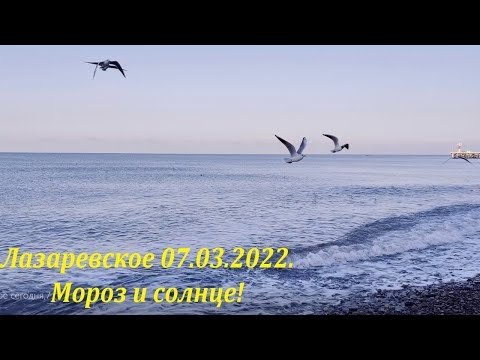 Мороз и солнце! 07.03.2022. Утро в Лазаревском