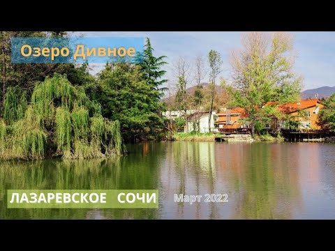 Озеро Дивное. Лазаревское Сочи. Гуси-лебеди и черепашки. Погода в марте 2022