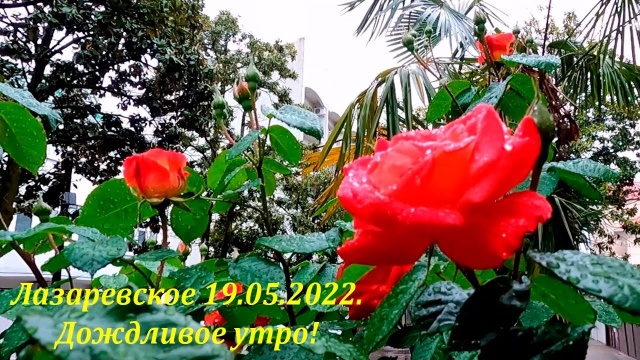 Пасмурное утро в Лазаревском, 19.05.2022