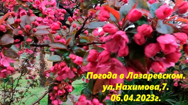 Погода в Лазаревском. 06.04.2023. ул.Нахимова