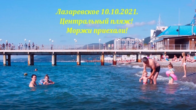 В Лазаревское моржи приехали! 10.10.2021