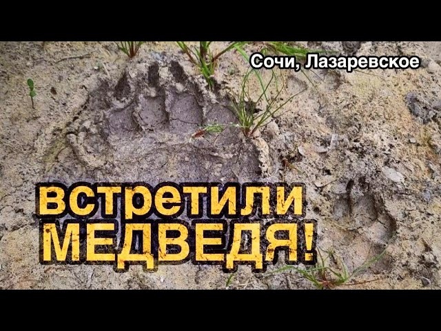 Сезон водопадов! Сочи, Лазаревское. Май 2023