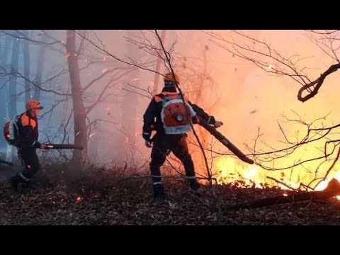 В новогоднюю ночь в Сочи тушили лесной пожар