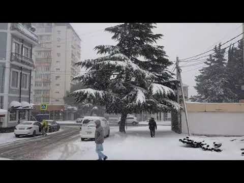 В Лазаревском зима!  Метель, пурга, цветы в снегу и t - 3°C - все это ЮГ, Сочи! 16 февраля 2021