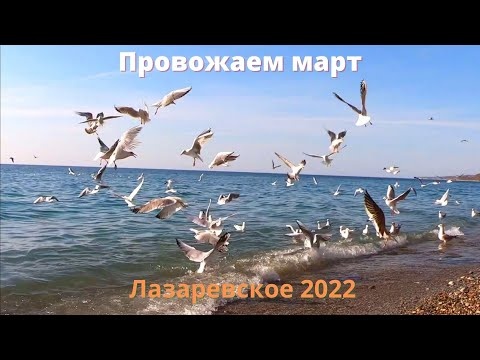 Провожаем МАРТ! Лазаревское Сочи. Чайки и море. На пляже Бирюза. Дождались "у моря погоды", t +12°C.