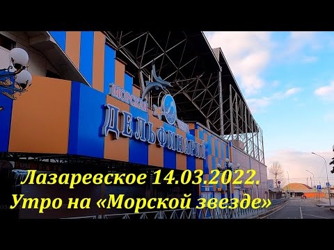 Утро на "Морской звезде", 14.03.2022. Лазаревское