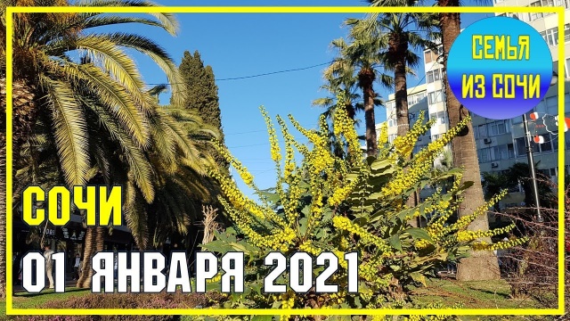 Сочи 1 января 2021 года. Прогулка по набережной. Субтропический рай в отдельно вазятом городе