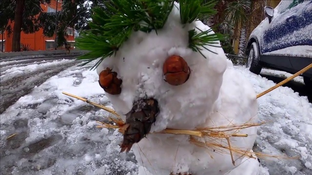 Прогулка по снежному Лазаревскому собаками. 15 Февраля 2021