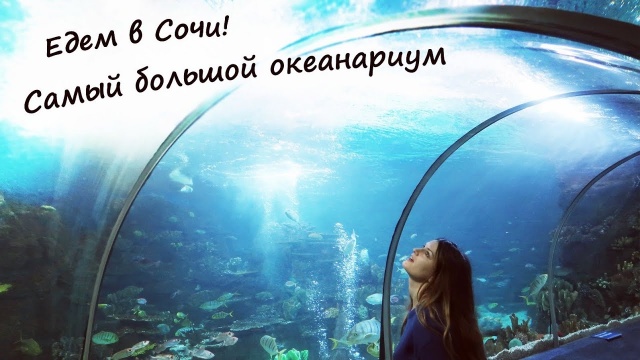 Океанариум в Сочи - цены, советы, экскурсия! Oceanarium in Sochi. Sochi Discovery World Aquarium
