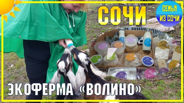 СОЧИ | ЭКОФЕРМА "ВОЛИНО"