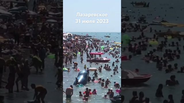 Лазаревское 2023 31 июля