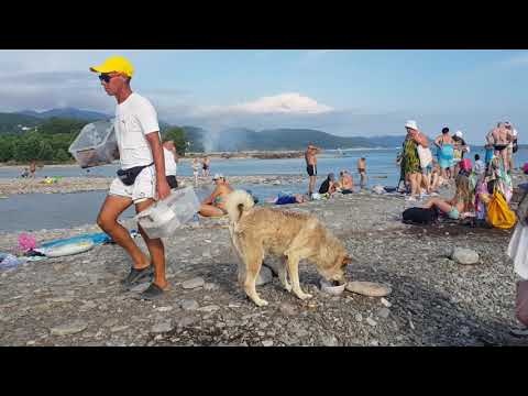 В Лазаревском чудная погода и море. Шарик на любимом месте. 8 июля 2021