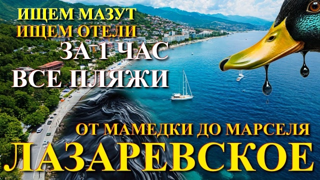 Лазаревское обзор, февраль