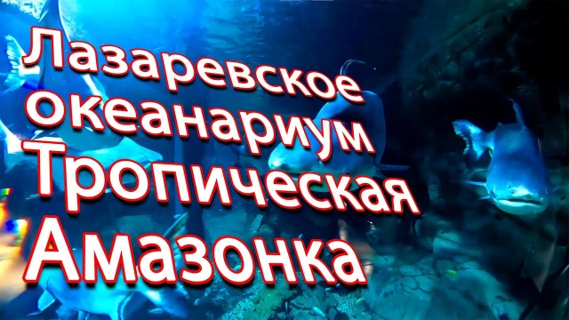 Сочи Лазаревское океанариум Тропическая амазонка