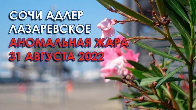 Лазаревское 2022, Сочи, Адлер, жара 31 августа