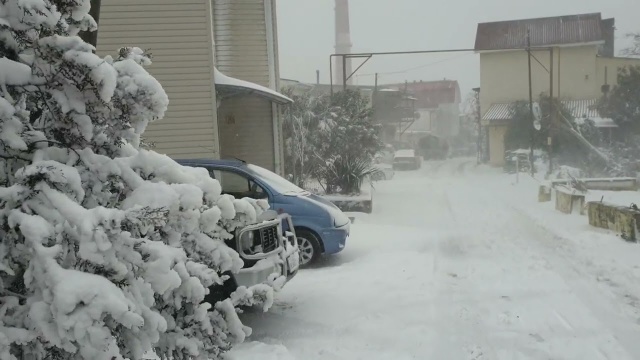 Замела метелица. Лазаревское. Погода 7 февраля 2023. Воздух -2°C.