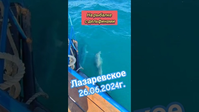 Лазаревское 26.06.2024г. Морская рыбалка. Встреча с дельфинами