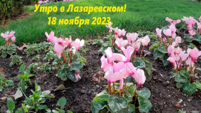 Лазаревское 18. 11.2023