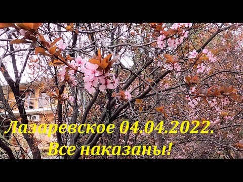 Моря не будет - наказаны! 04.04.2022. Лазаревское