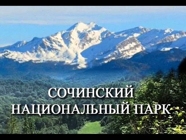 Парк сочинский 4 класс. Национальный парк Сочи логотип. Сочинский национальный парк логотип. Логотип сочинского нацпарка. Сочинский национальный парк что означает эмблема.