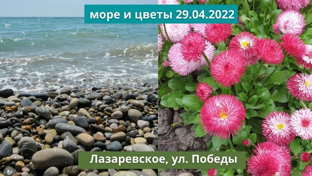 Лазаревское. Улица Победы. Весенние цветы. На море штиль. 29 апреля 2022