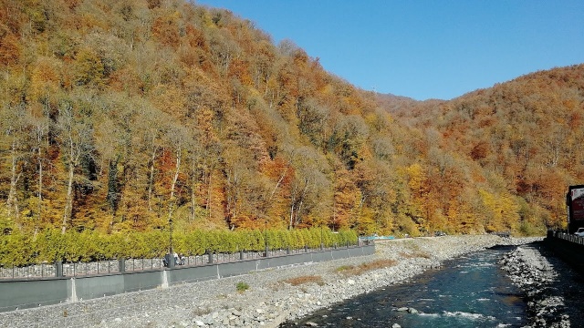 Осенний лес в горах в Сочи