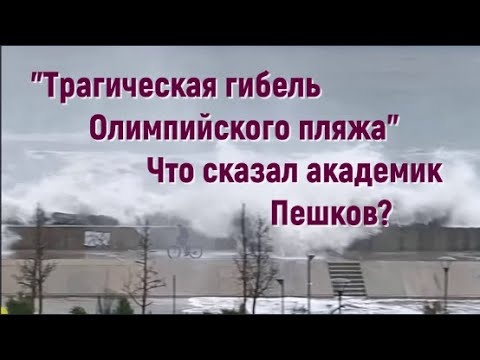 Видео об исчезающих пляжах прокомментировал академик Пешков. На самом ли деле Сочи ждёт катастрофа?