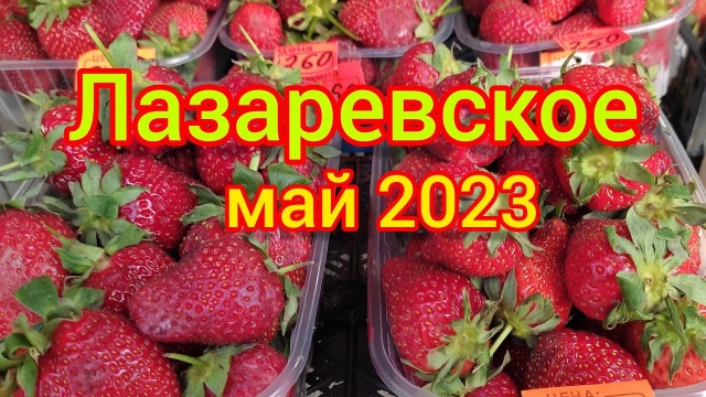 Прогулка по парку. Сырный дом. Горка героев. Провожаем поезд. Лазаревское, май 2023