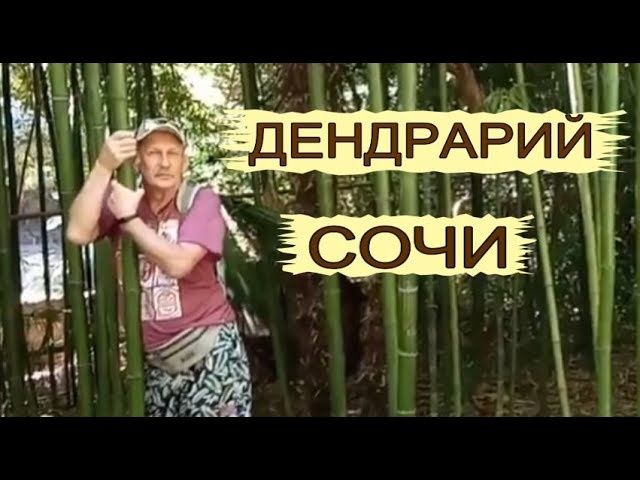 Парк Дендрарий Сочи Адлер . Обзор парка, цены на канатную дорогу, вид на город, на море.