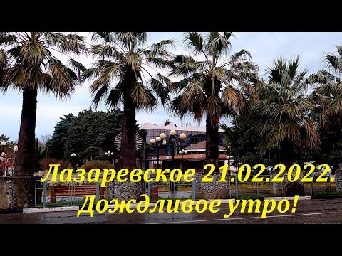 Лазаревское. Дождливое утро 21.02.2022