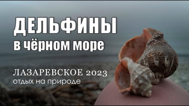 НА БЕРЕГУ МОРЯ - Лазаревское 2023