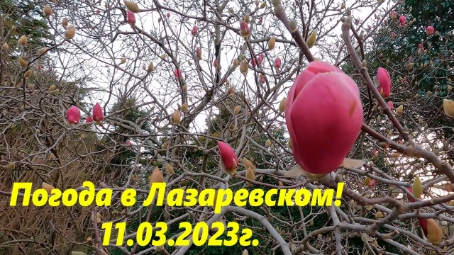 Погода в Лазаревском 11.03.2023