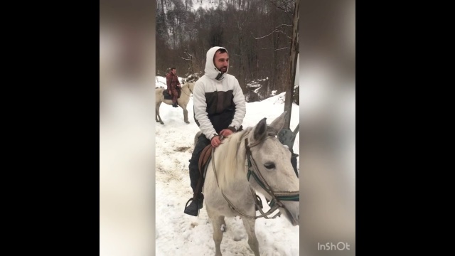 Лазаревское Сочи Конные прогулки зимой